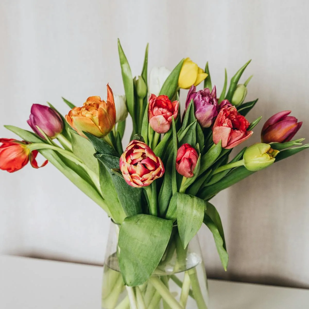 0754 PF Spring25-Site Spring BlogTile