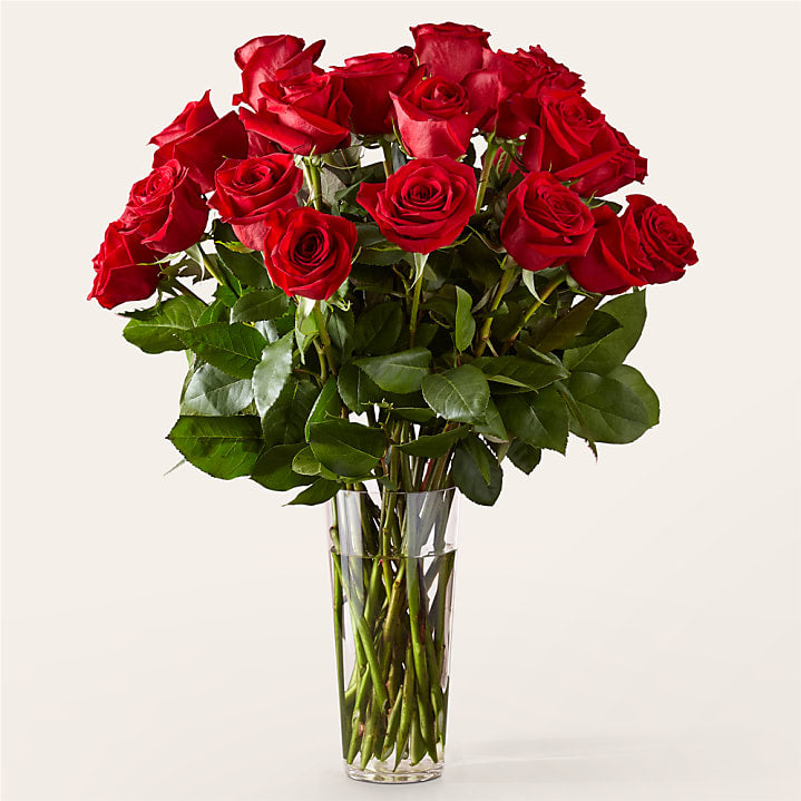 product image for Long Stem Red Rose Bouquet