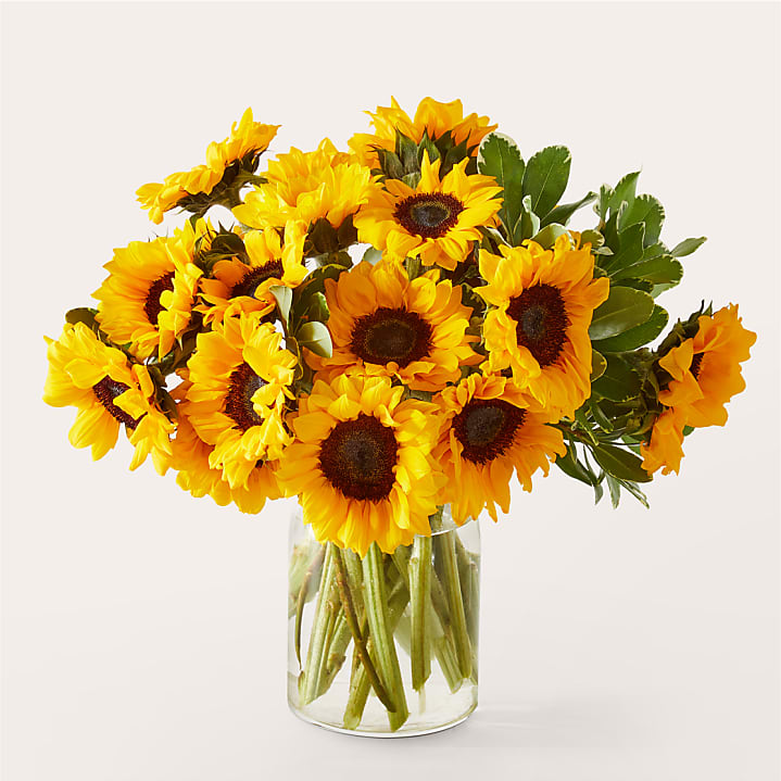 product image for Honey Bee Sunflower Bouquet