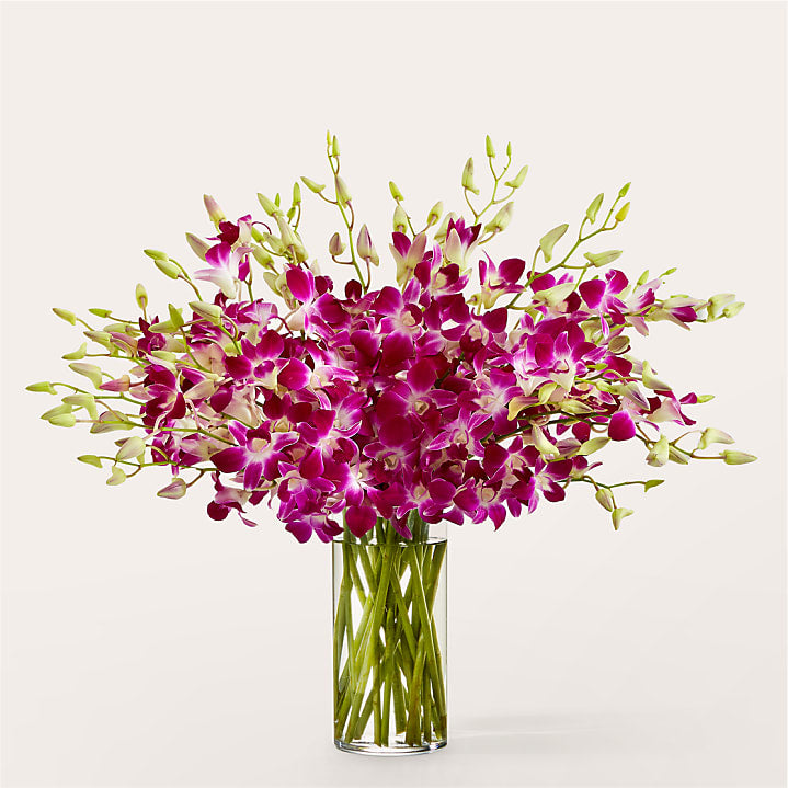 product image for Positively Purple Orchid Bouquet