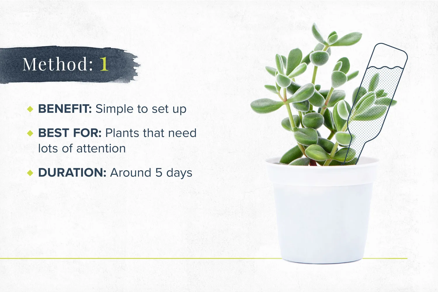 how-to-water-plants-on-vaction-method1-1