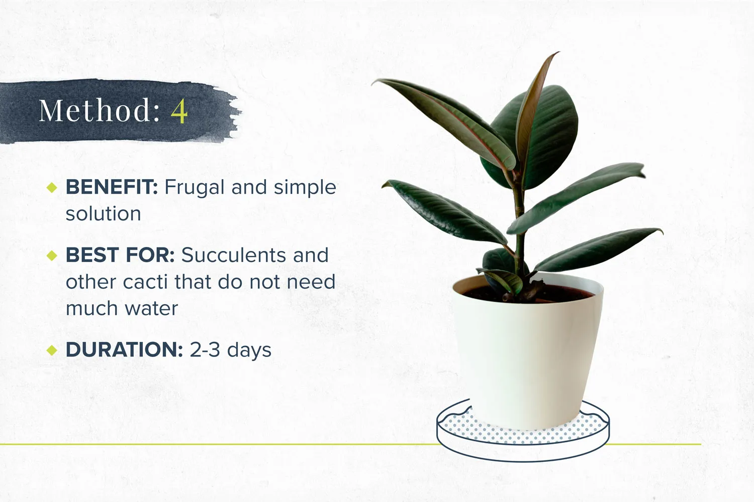 how-to-water-plants-on-vaction-method4-1