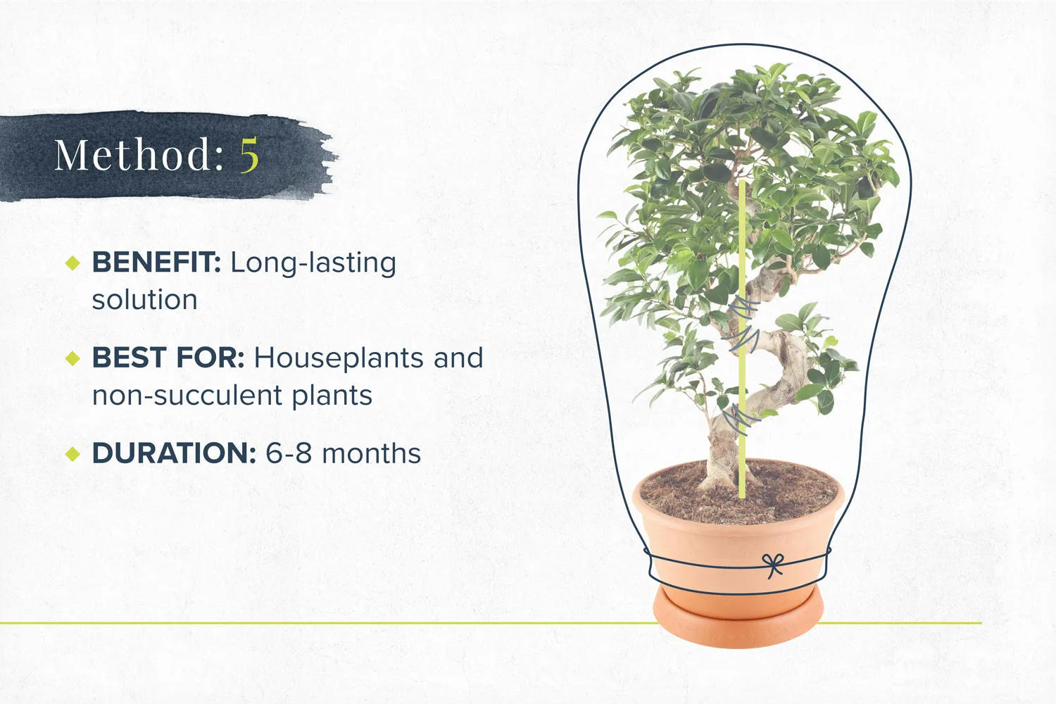 how-to-water-plants-on-vaction-method5-1