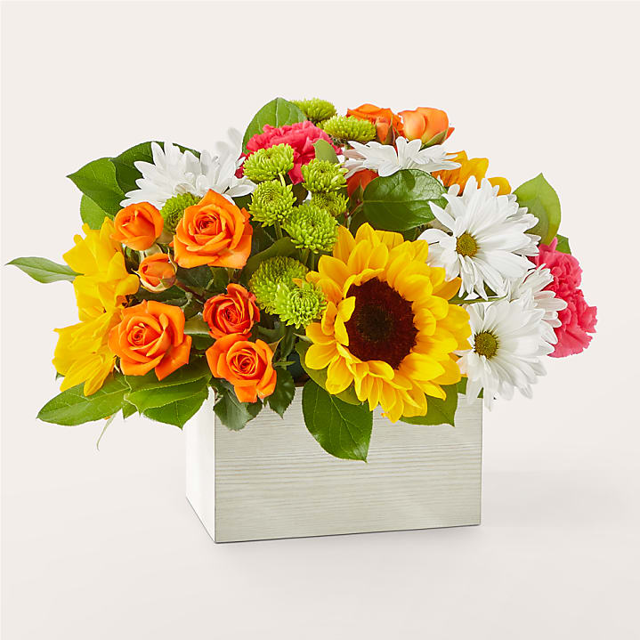 product image for Sun-drenched Blooms Box Bouquet