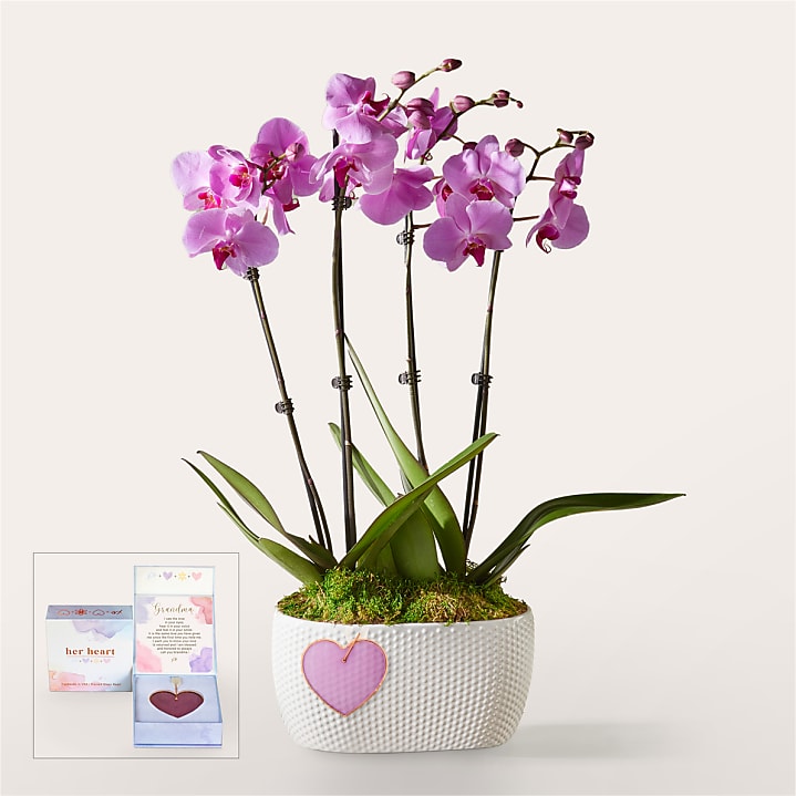 product image for For Grandma Pink Orchid Garden with Heart Keepsake