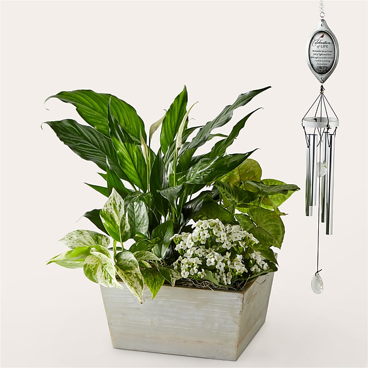 product image for White Garden & Celebration of Life Windchime