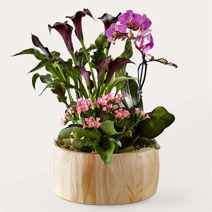 product image for Sending a Garden of Love