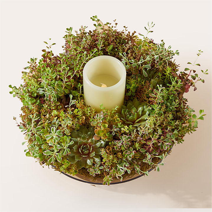 product image for Living Succulent Wreath & Ivory Candle