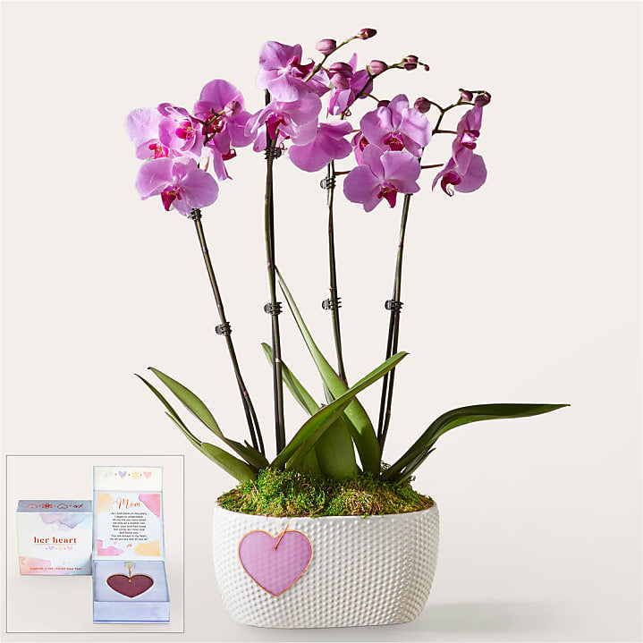 product image for Pink Orchid Garden with Mom Heart Keepsake