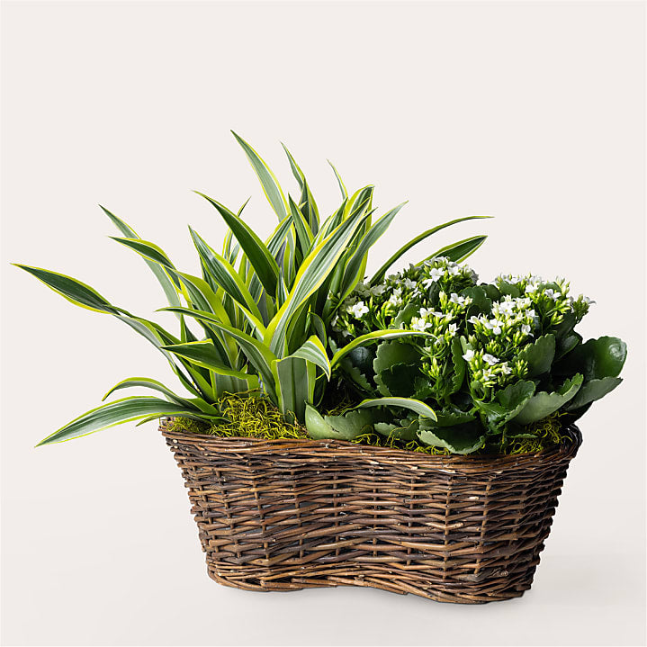 product image for Blooming Garden