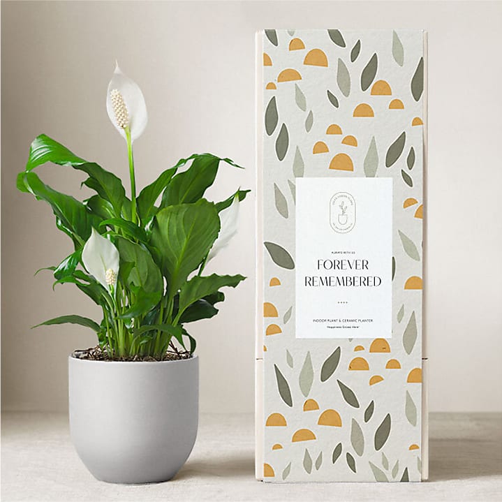 product image for Lula's Peace Lily Plant - Forever Remembered