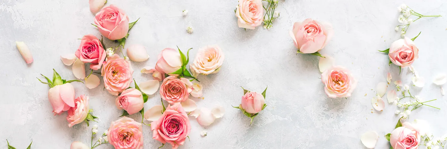 pink-flowers-thumb-1