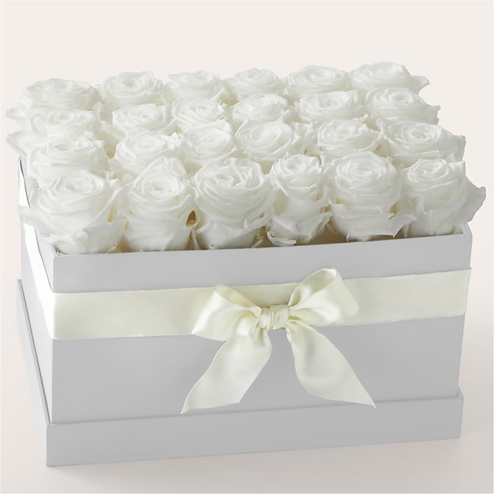 product image for White Forever Roses