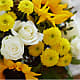 Luminous Morning Bouquet