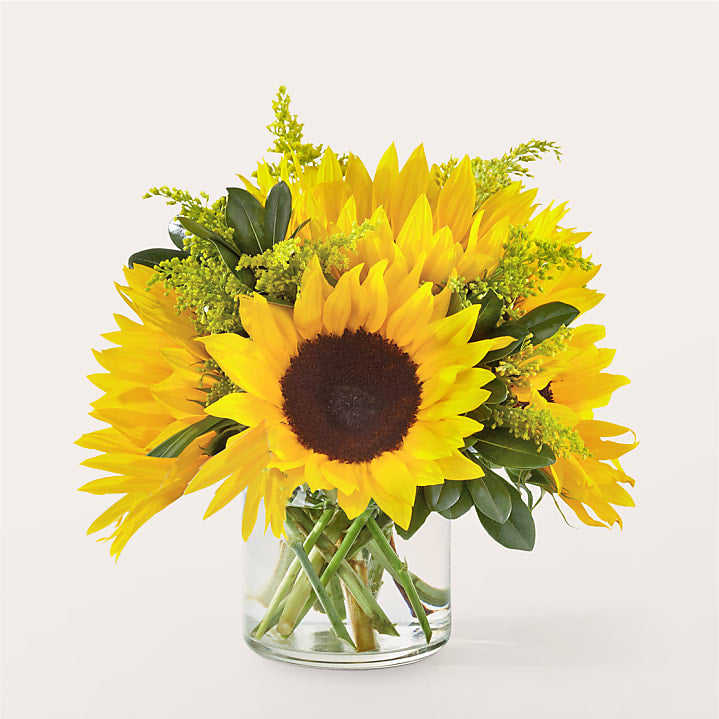 product image for Beaming Sunflower Bouquet