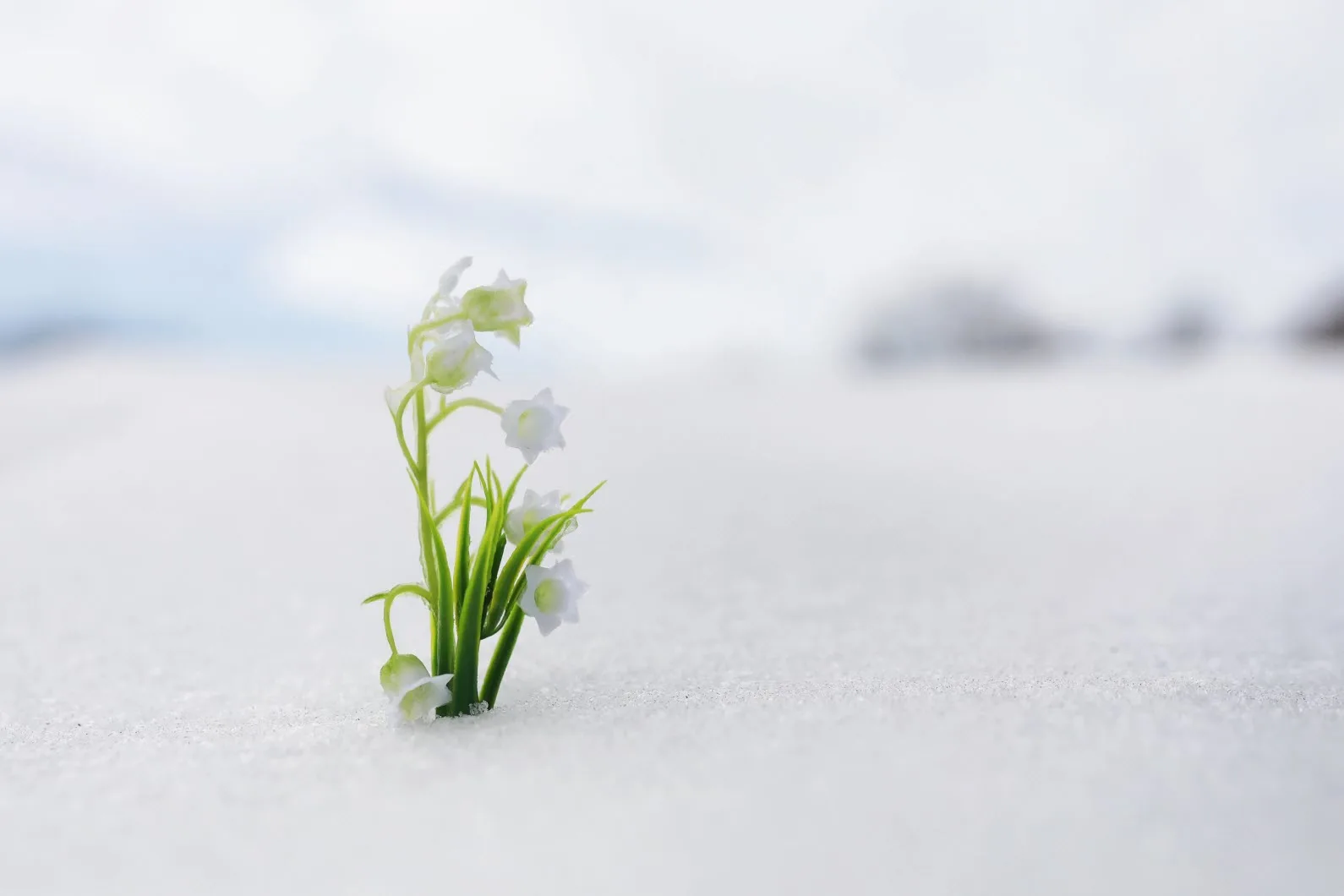 shutterstock 1722124882-scaled