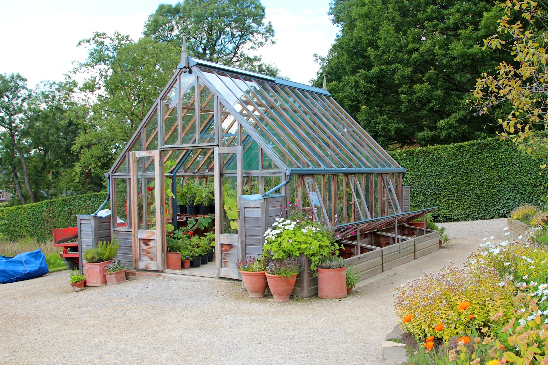greenhouse-thumb