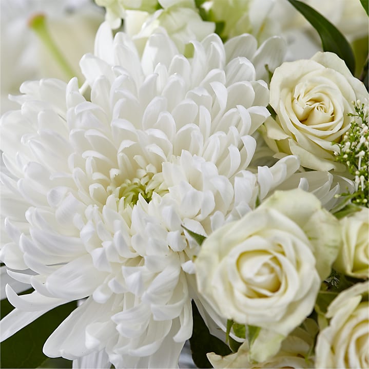 product image for Classic Ivory – A Florist Original