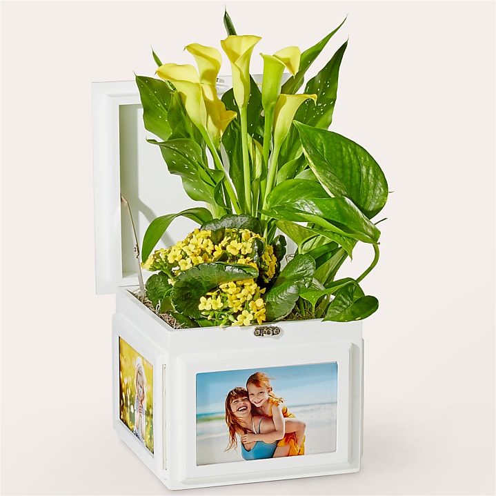 product image for Cherished Memories Yellow Garden