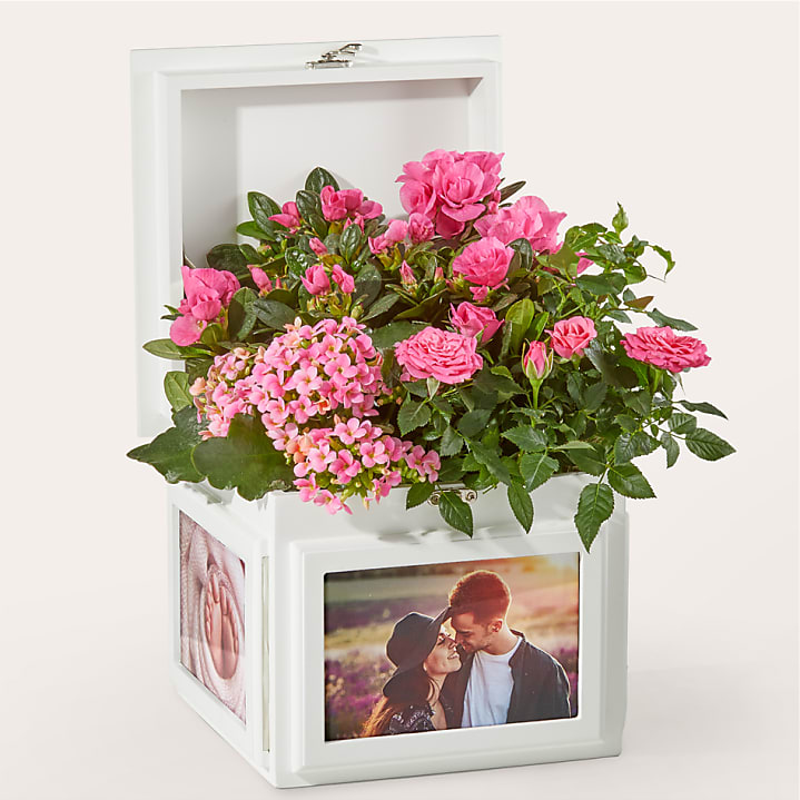 product image for Cherished Memories Pink Garden