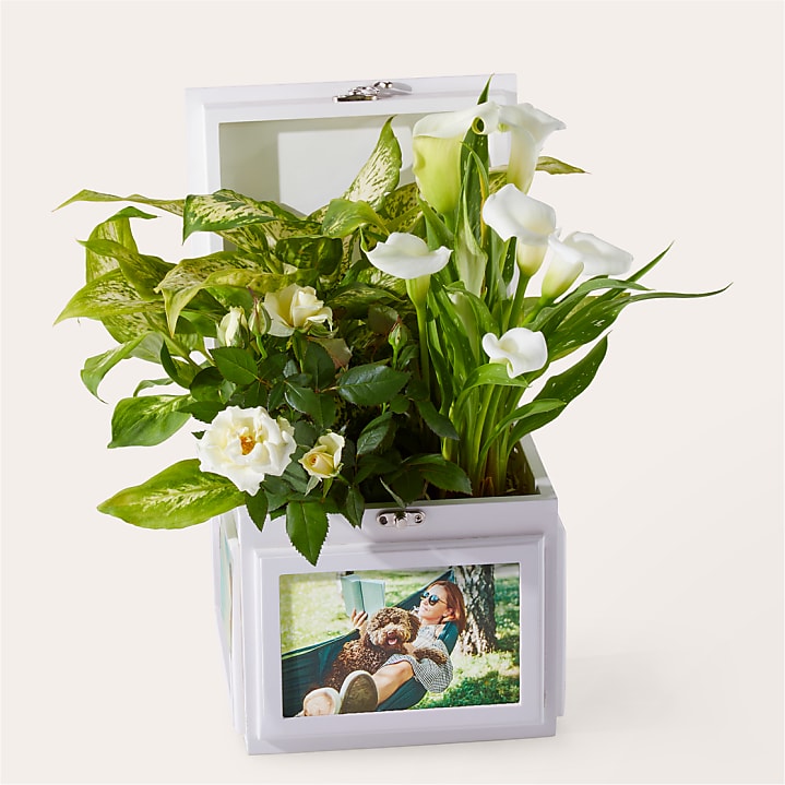 product image for Cherished Memories White Garden