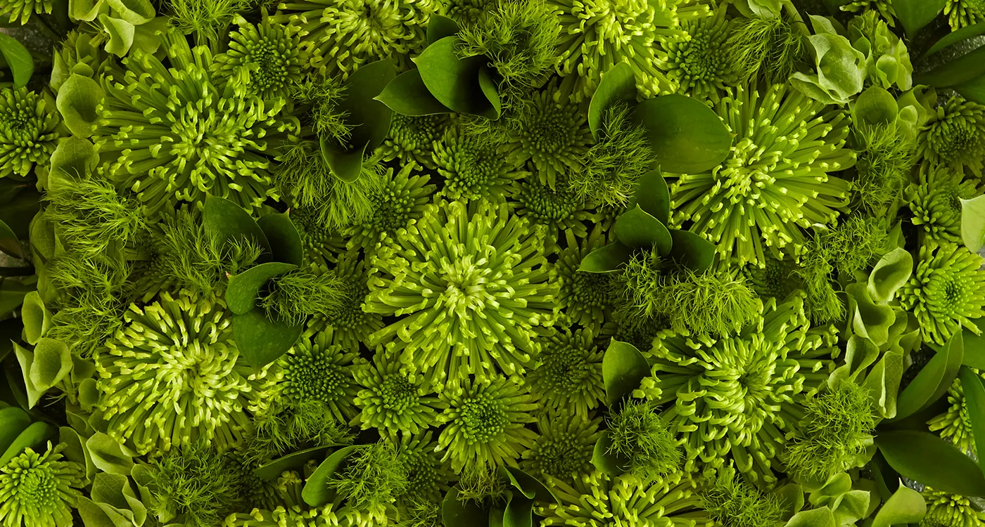 7-12 No-Green-Thumb-Needed thumb-350x240
